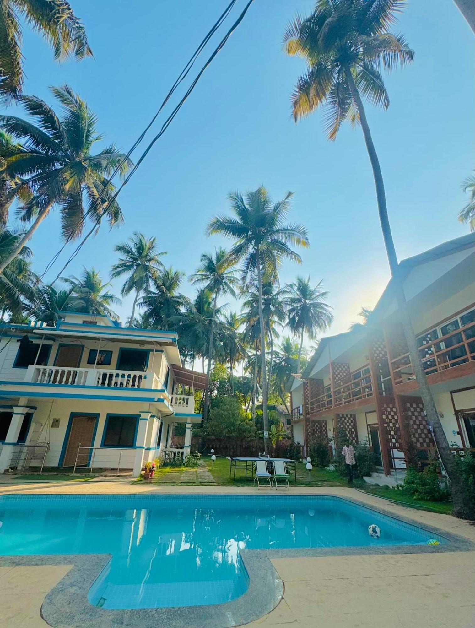 White Turtle Hotel Morjim Exterior photo
